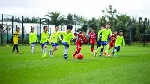 新一代球迷投票心仪NBA球星：詹姆斯稳居榜首，哈登并列第五