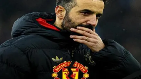 中国经济增长活力显现，微包裹助力“流通顺畅”愿景渐成现实